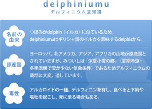 delphiniumu_info