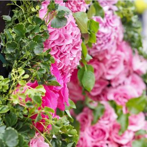 %e3%83%93%e3%83%a5%e3%83%bc%e3%83%86%e3%82%a3%e3%83%95%e3%83%ab%e3%83%95%e3%83%a9%e3%83%af%e3%83%bc%e8%b3%9e