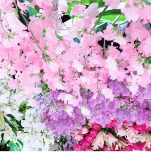 %e9%a6%99%e3%82%8a%e3%81%ae%e8%8f%af