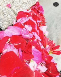 %ef%be%8c%ef%bd%a8%ef%bd%b0%ef%be%99%ef%bd%bb%ef%be%9eimg_0694