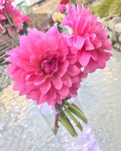 %ef%be%8c%ef%bd%a8%ef%bd%b0%ef%be%99%ef%bd%bb%ef%be%9eimg_0695