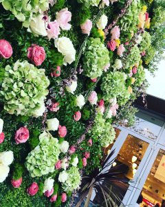 %ef%be%8c%ef%bd%a8%ef%bd%b0%ef%be%99%ef%bd%bb%ef%be%9eimg_0696