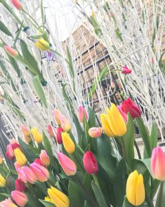 %ef%be%8c%ef%bd%a8%ef%bd%b0%ef%be%99%ef%bd%bb%ef%be%9eimg_0697