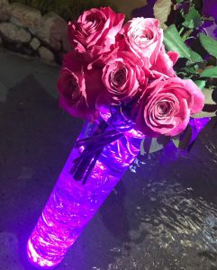 %ef%be%8c%ef%bd%a8%ef%bd%b0%ef%be%99%ef%bd%bb%ef%be%9eimg_0698