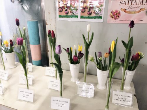 Photo taken with Focos