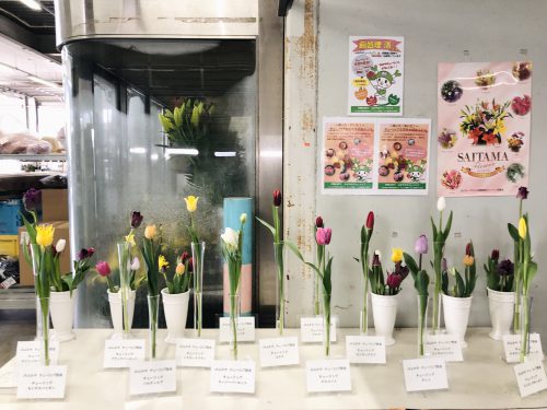 Photo taken with Focos