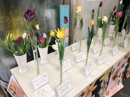 Photo taken with Focos