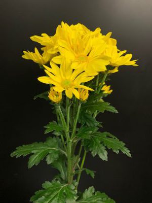 img_3744