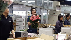 employment_employment_images01