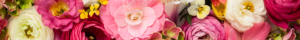 flower_bg_img