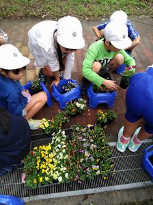 senbaimg_20171003_092011