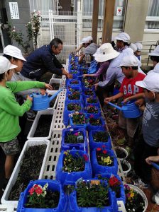 senbaimg_20171003_100825