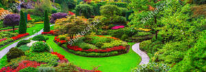 stock-photo-butchart-gardens-gardens-on-vancouver-island-flower-beds-of-colorful-flowers-and-walking-paths-320965514