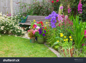 stock-photo-cottage-garden-with-wooden-bench-and-flowers-in-containers-289501457