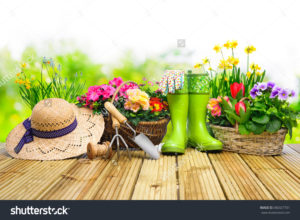 stock-photo-gardening-tools-and-flowers-on-the-terrace-in-the-garden-380327701