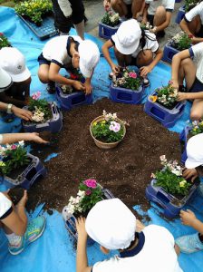 sugouimg_20170927_111629