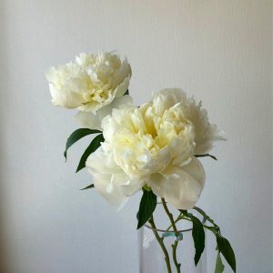 %e3%83%a6%e3%83%8b%e3%83%90%e3%83%bc%e3%82%b9%e3%82%bf%e3%83%bc1