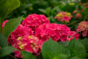 %e5%90%8d%e7%a7%b0%e6%9c%aa%e8%a8%ad%e5%ae%9a-17