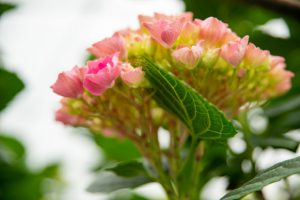 %e5%90%8d%e7%a7%b0%e6%9c%aa%e8%a8%ad%e5%ae%9a-19