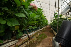 %e5%90%8d%e7%a7%b0%e6%9c%aa%e8%a8%ad%e5%ae%9a-6