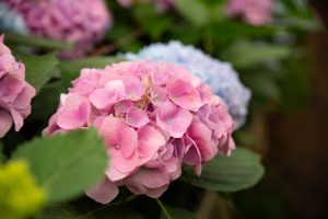 %e5%90%8d%e7%a7%b0%e6%9c%aa%e8%a8%ad%e5%ae%9a-9